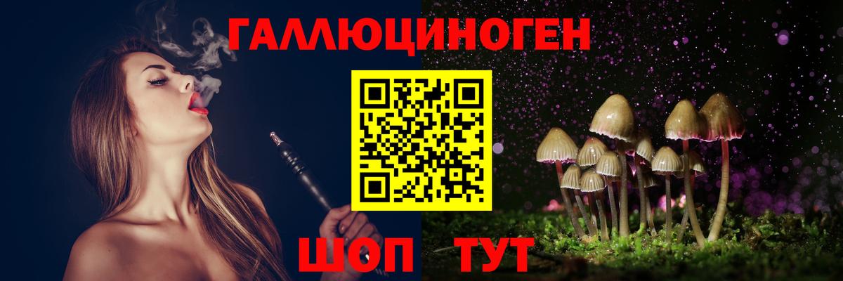 Псилоцибиновые грибы Cubensis  Вход с VPN  Евпатория 